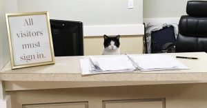 Oreo - St Augustine Health Ministries