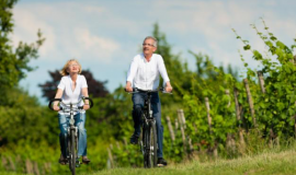 Elderly woman and elderly man bike riding through a park lined with fences and green trees